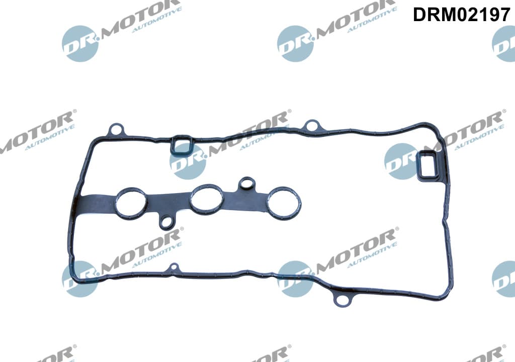 DR.MOTOR AUTOMOTIVE Tesnenie veka hlavy valcov DRM02197 1