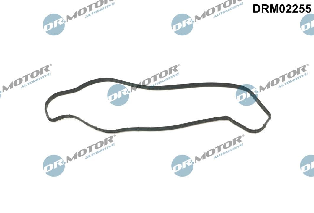 DR.MOTOR AUTOMOTIVE Tesnenie príruby chladenia DRM02255 1