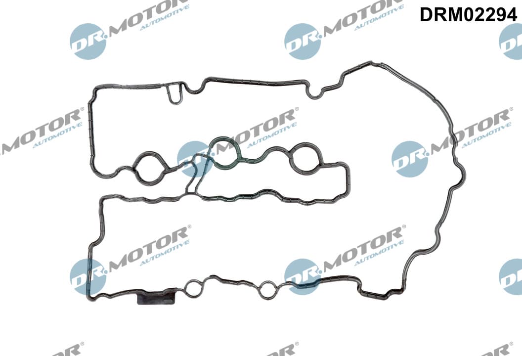 DR.MOTOR AUTOMOTIVE Tesnenie veka hlavy valcov DRM02294 1