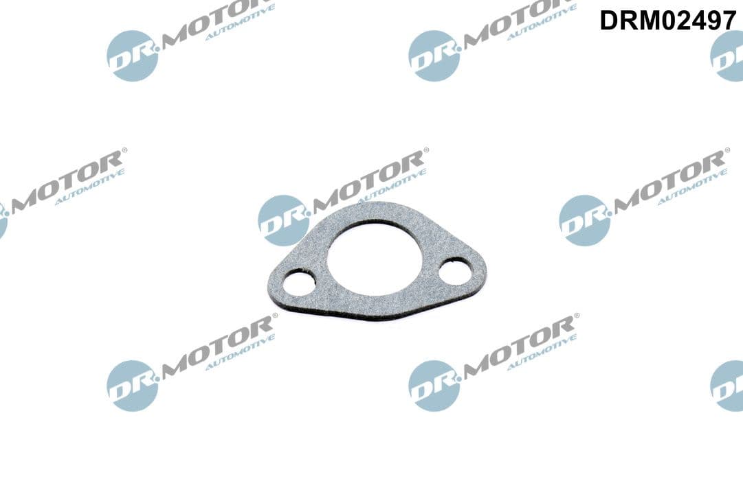 DR.MOTOR AUTOMOTIVE Tesnenie, Trubka chladenia DRM02497 1