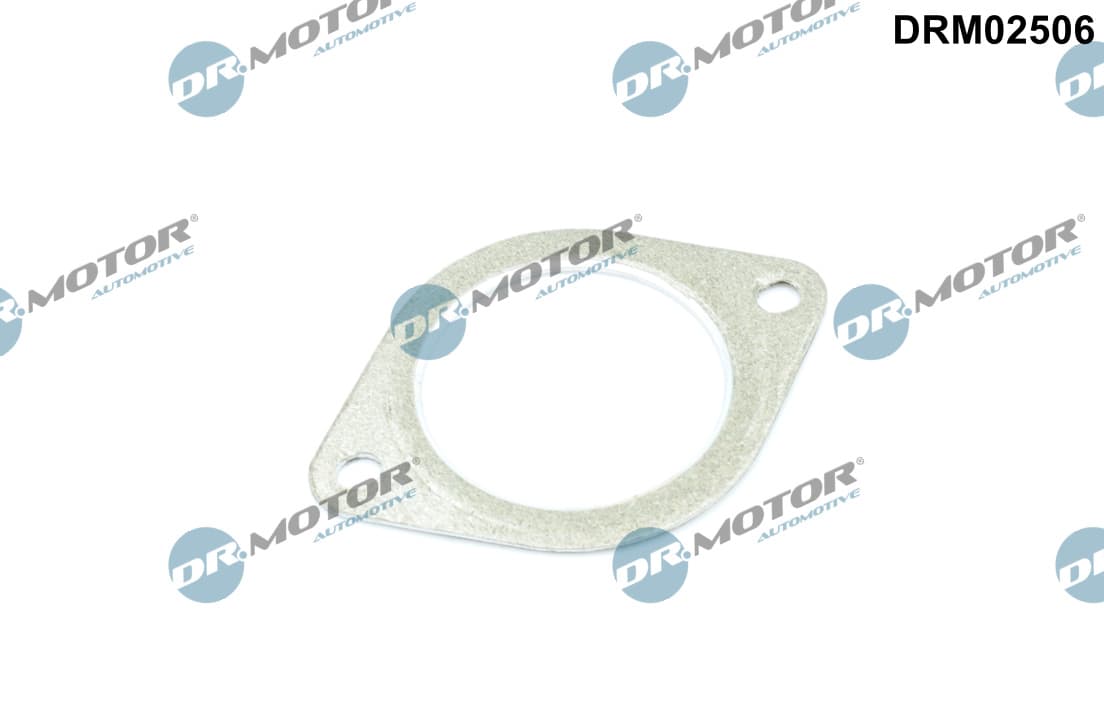 DR.MOTOR AUTOMOTIVE Tesnenie výfukovej trubky DRM02506 1