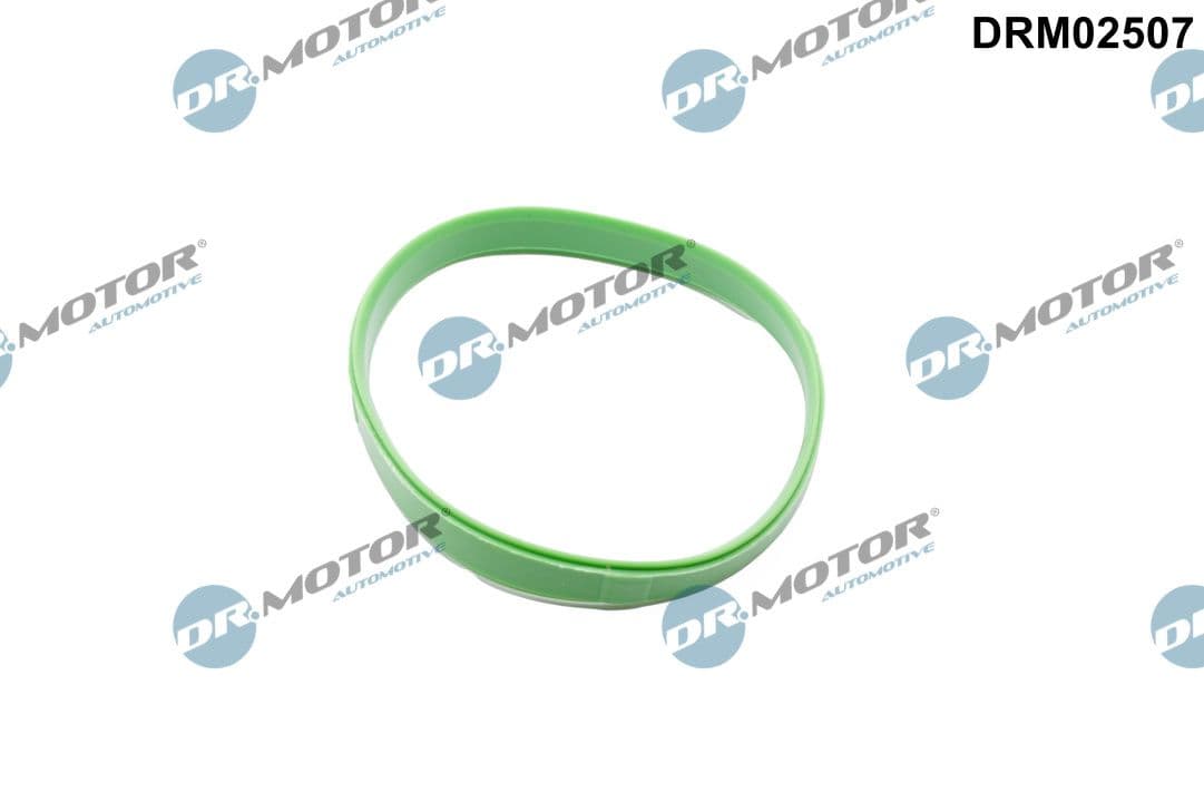 DR.MOTOR AUTOMOTIVE Tesnenie, hrdlo škrtiacej klapky DRM02507 1