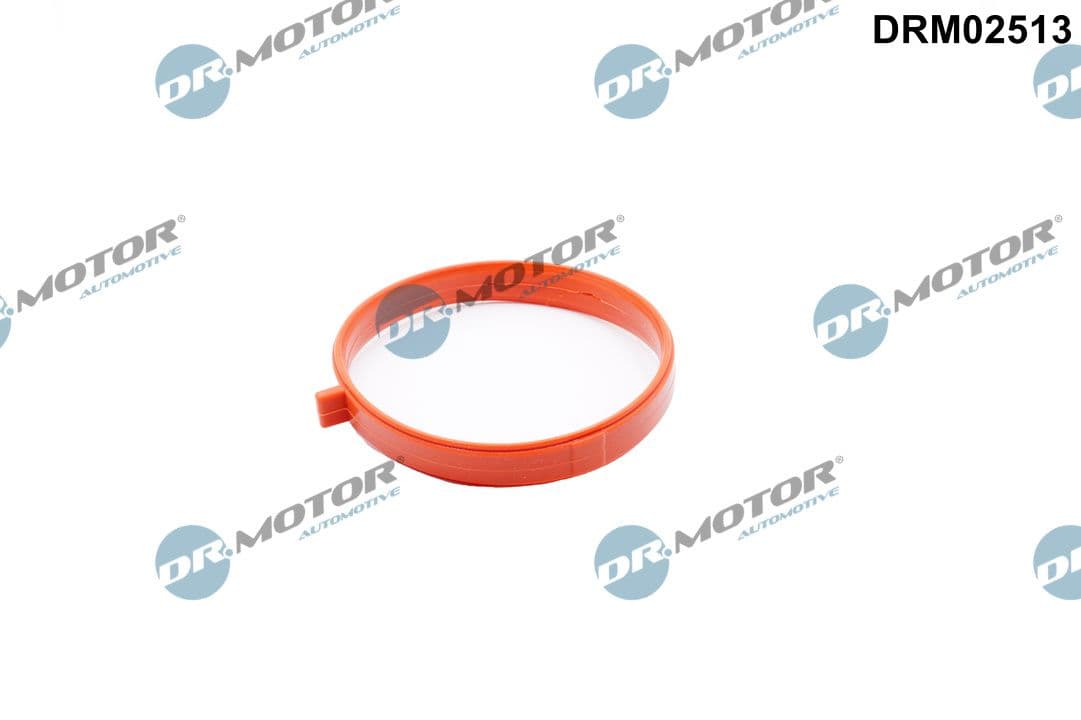 DR.MOTOR AUTOMOTIVE Tesnenie, hrdlo škrtiacej klapky DRM02513 1