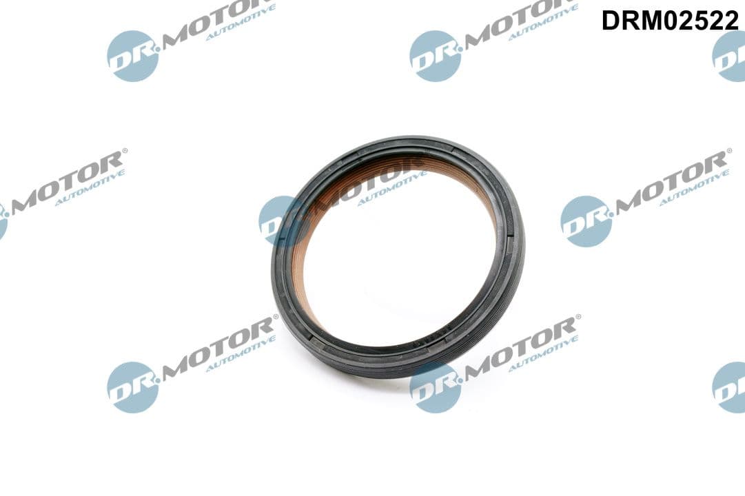 DR.MOTOR AUTOMOTIVE Tesniaci krúžok vačkového hriadeľa DRM02522 1