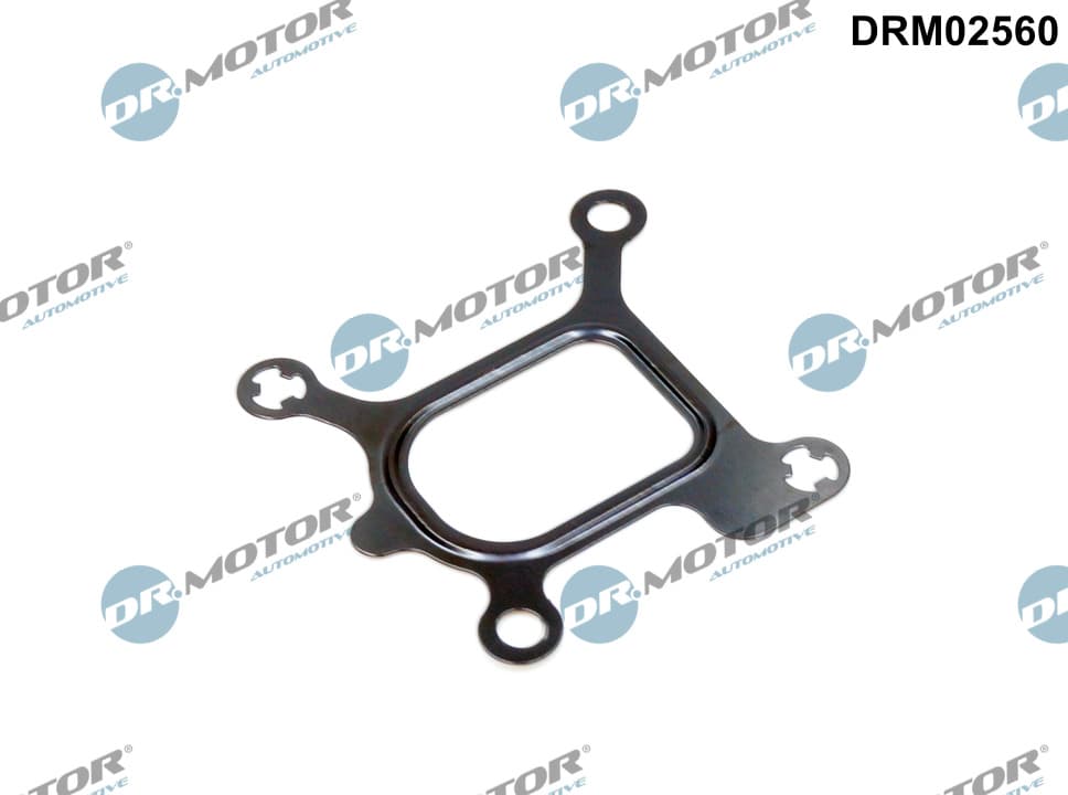 DR.MOTOR AUTOMOTIVE Tesnenie príruby chladenia DRM02560 1