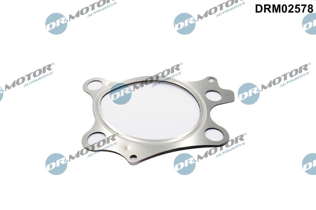 DR.MOTOR AUTOMOTIVE Tesnenie výfukovej trubky DRM02578 1