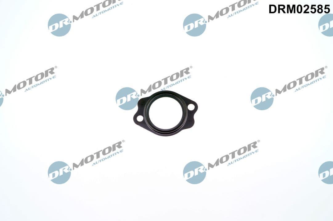DR.MOTOR AUTOMOTIVE Tesnenie trubiek chladenia DRM02585 1