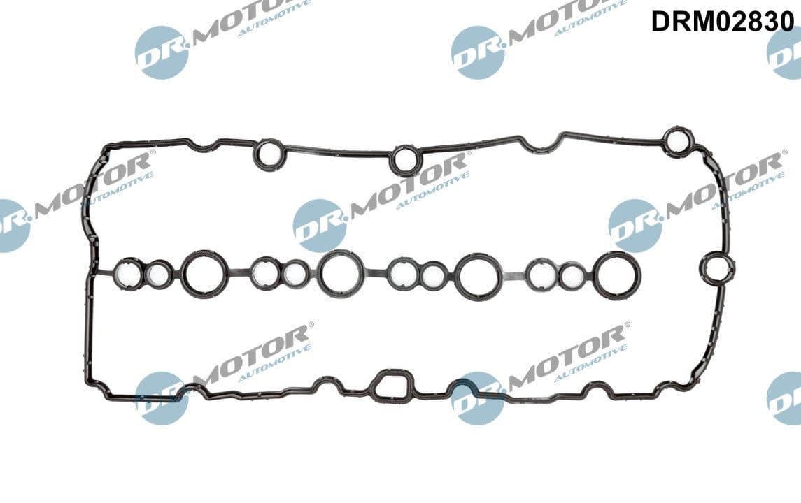 DR.MOTOR AUTOMOTIVE Tesnenie veka hlavy valcov DRM02830 1