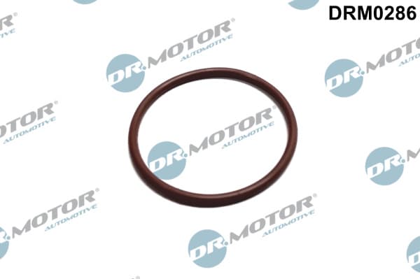 DR.MOTOR AUTOMOTIVE Tesnenie, Palivové čerpadlo DRM0286 1