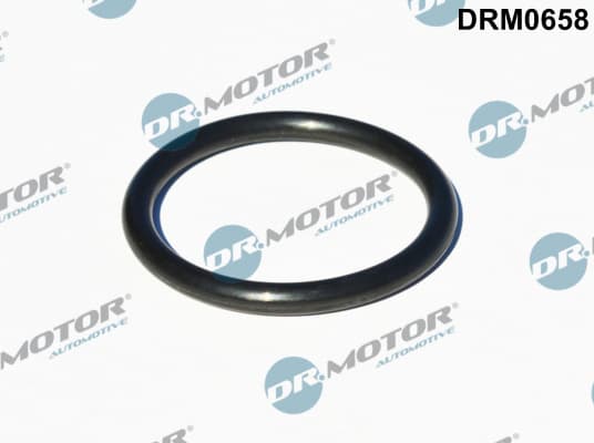 DR.MOTOR AUTOMOTIVE Tesnenie prívodu turbíny DRM0658 1