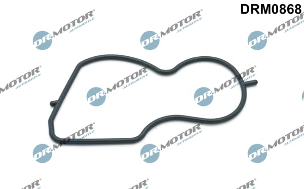 DR.MOTOR AUTOMOTIVE Tesnenie vákuového čerpadla DRM0868 1