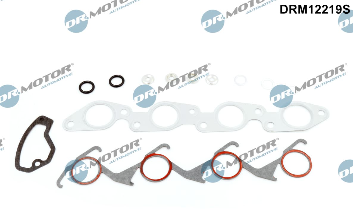 DR.MOTOR AUTOMOTIVE Kompletná sada tesnení motora DRM12219S 1