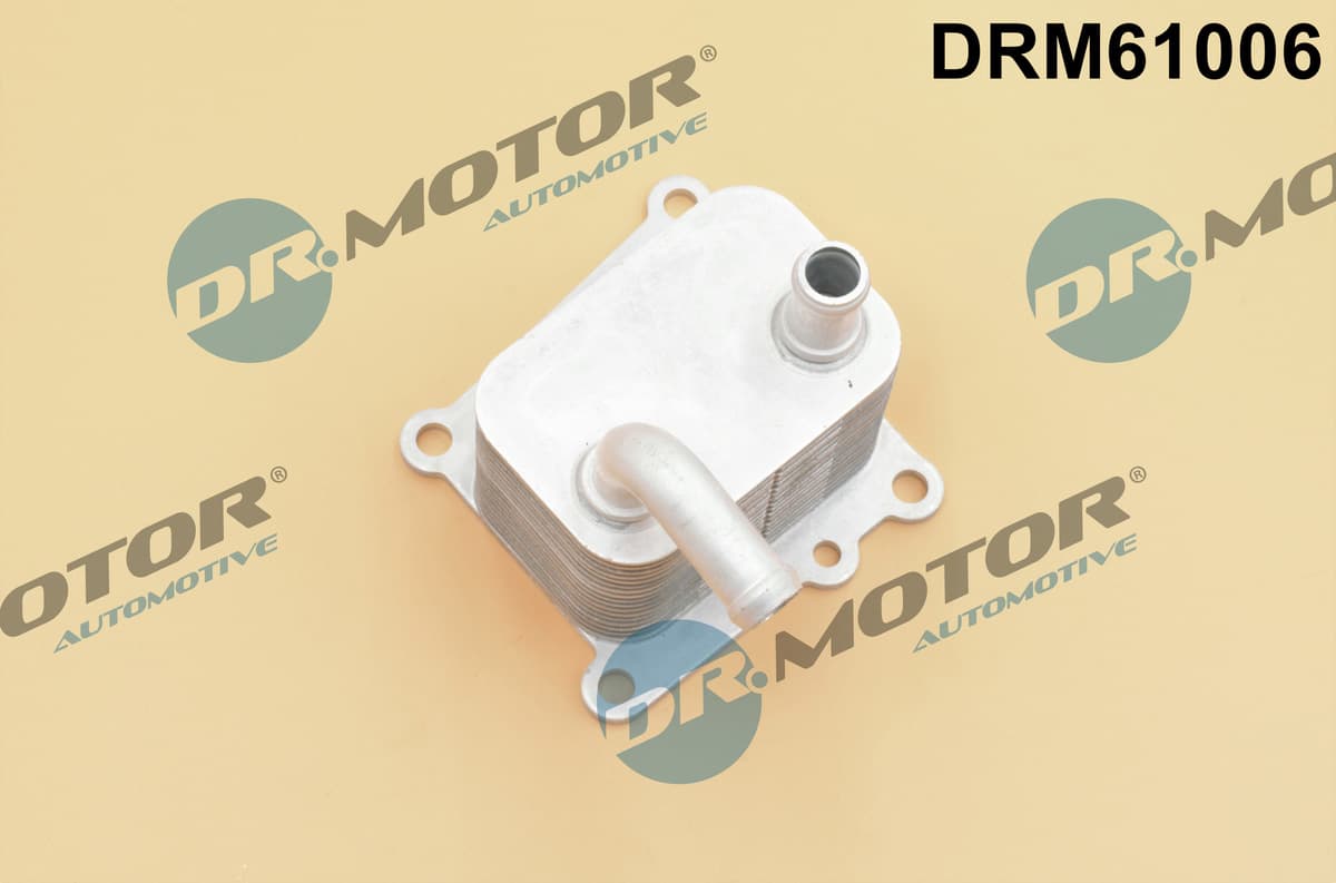 DR.MOTOR AUTOMOTIVE Chladič motorového oleja DRM61006 1