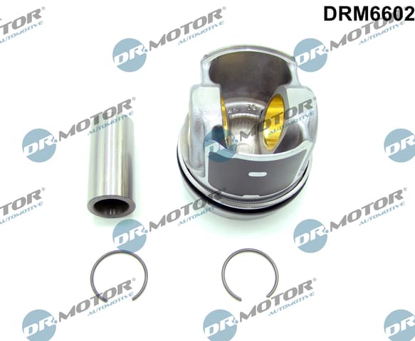 DR.MOTOR AUTOMOTIVE Motor nekompletný DRM6602 1