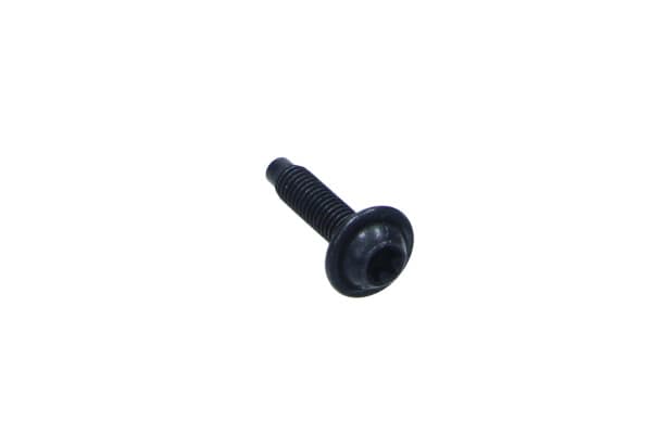 Lícovaná skrutka Torx OE VOLKSWAGEN AG N90969901 1