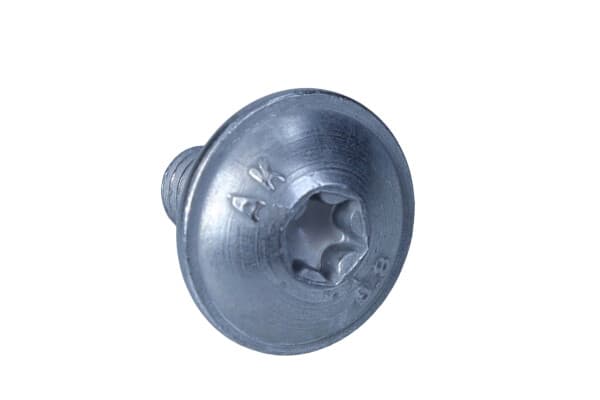 Skrutka Torx s polguľatou hlavou OE VOLKSWAGEN AG N91166401