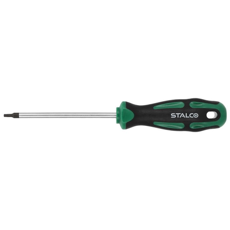 Skrutkovač Torx T10x100mm 1/12/240 - S-12374 1
