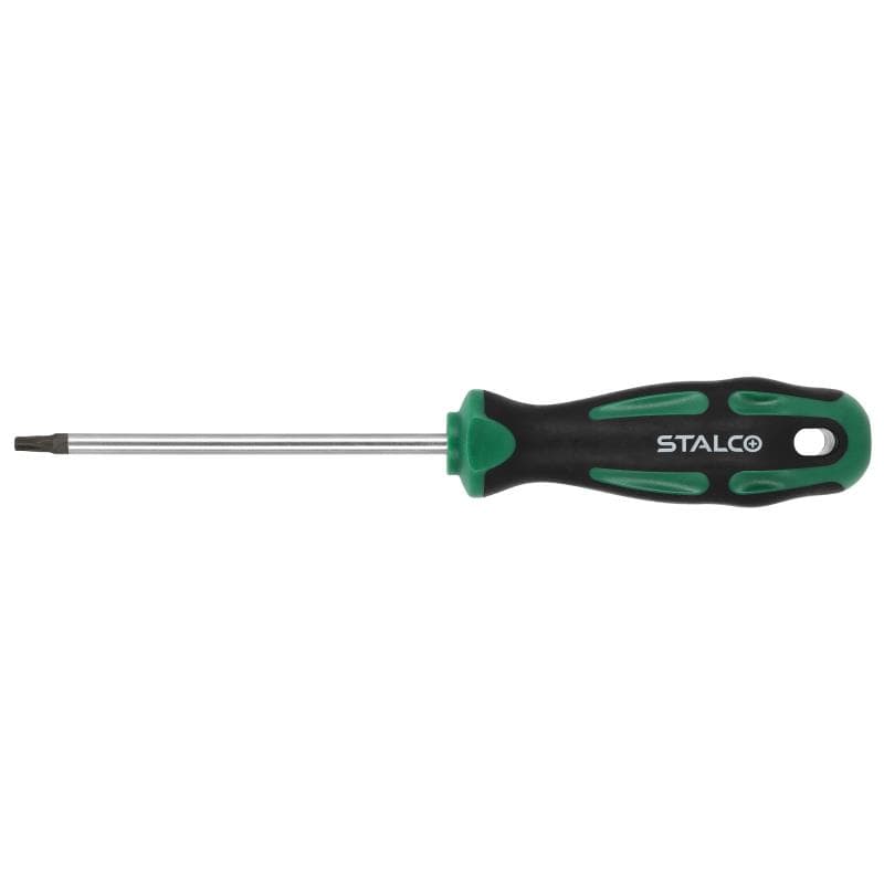 Skrutkovač Torx T20x100mm 1