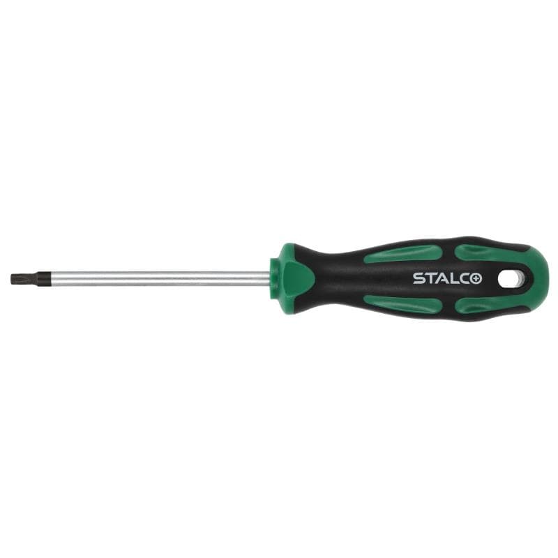 Skrutkovač Torx T25x100mm 1/12/144 - S-12380