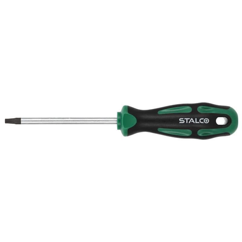 Skrutkovač Torx T27x100mm 1