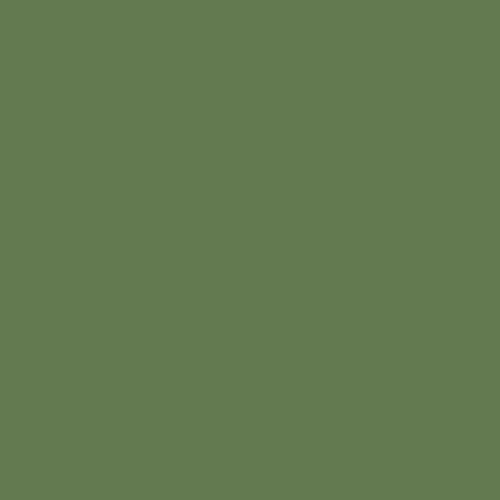 RAL 6025 750ml Interiérová farba, umývateľná - vodouriediteľná, Papraď zelená 1
