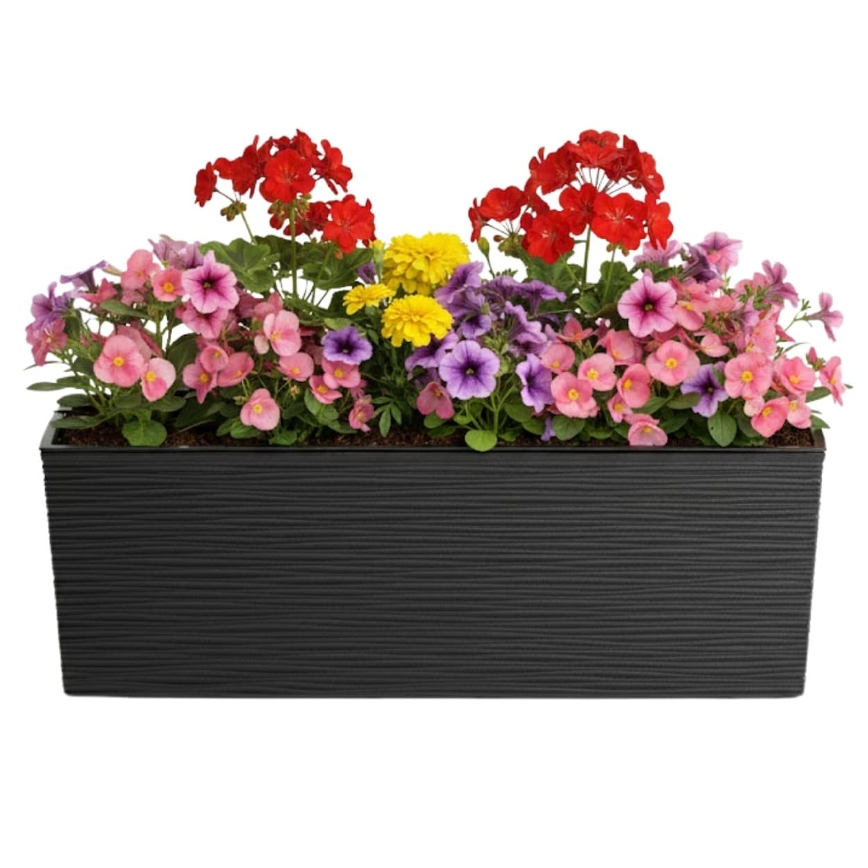 Plastový kvetináč Bouquet Riflo 56x19 cm čierny 1