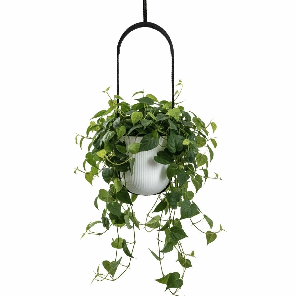 Závesný kvetináč AERA HANG 17,9 cm biely 1