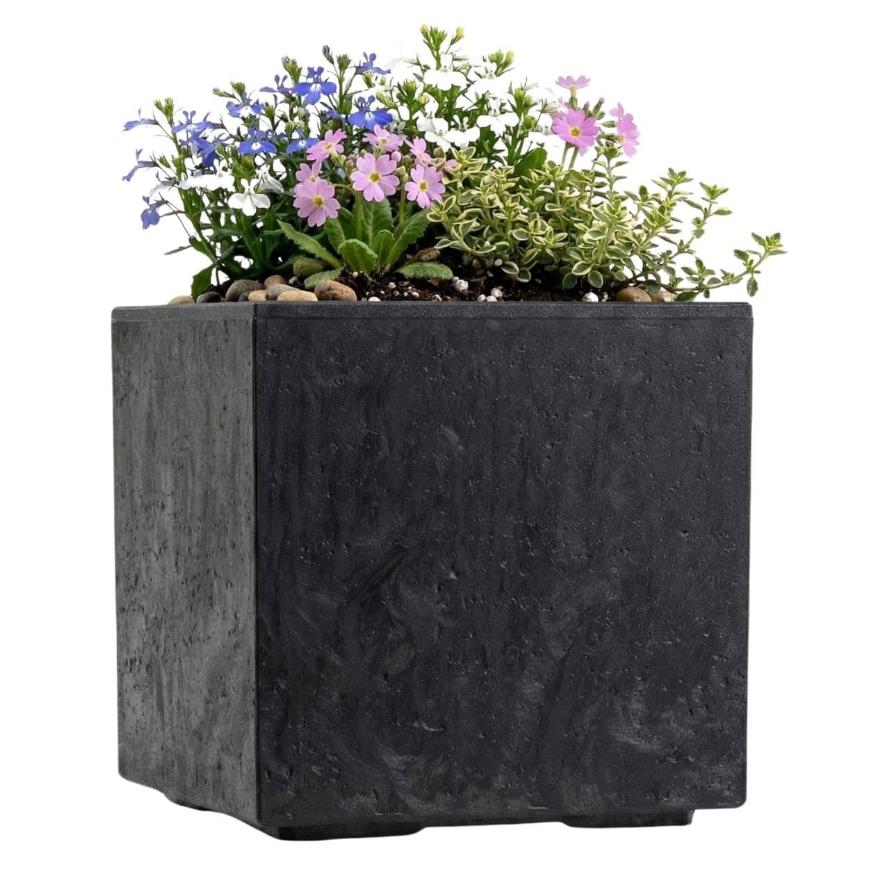 Kvetináč na kolieskach BETONIQUE 30x30 cm betón - výber z 8 prevedení