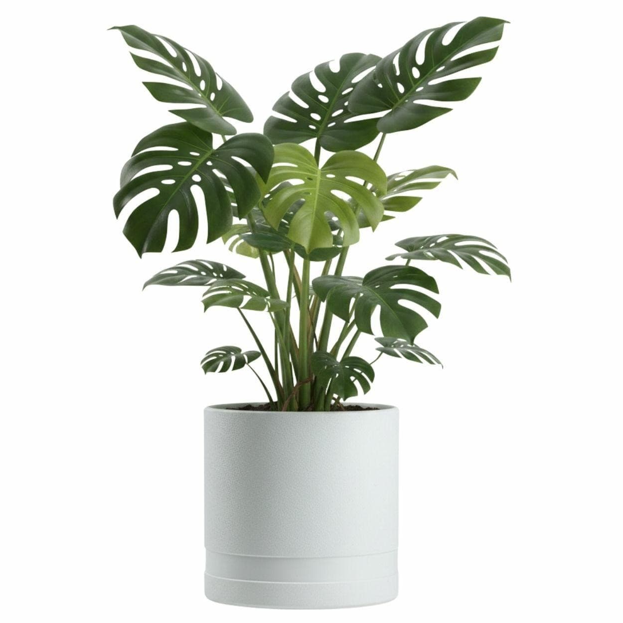 Kvetináč LUNA Cylinder 30,8 cm biely 1