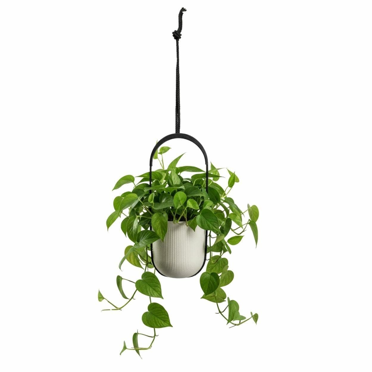 Závesný kvetináč AERA HANG 17,9 cm béžový 1