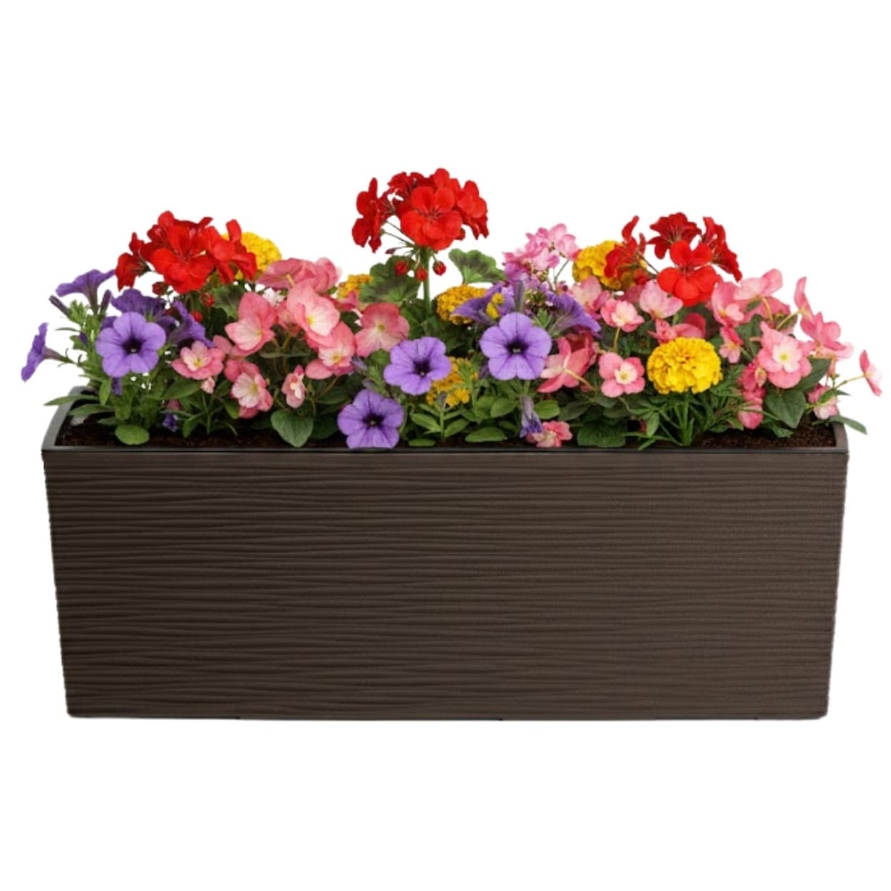 Plastový kvetináč Bouquet Riflo 56x19 cm mokka