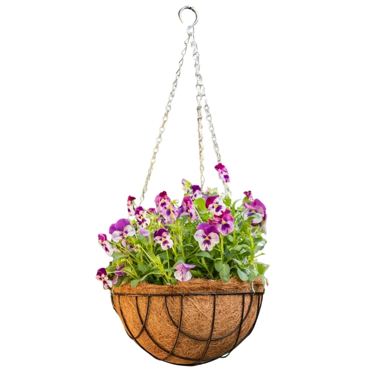 Závesný kvetináč Sowy 30 cm čierny/hnedý 1