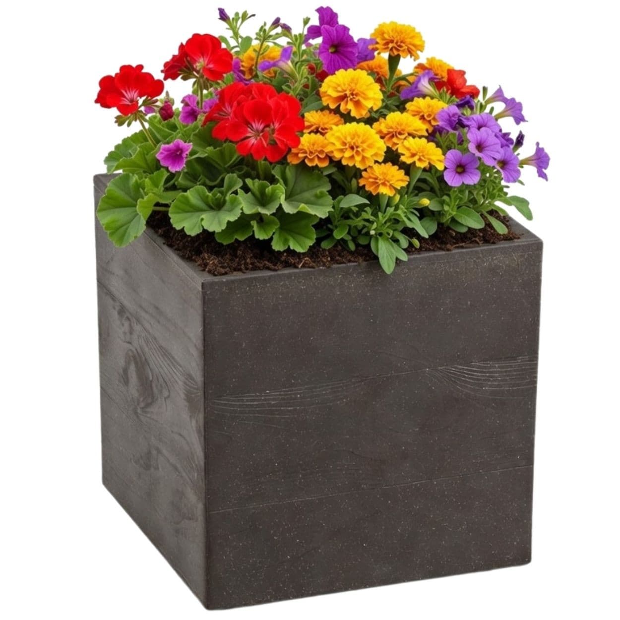 Kvetináč na kolieskach BETONIQUE 30x30 cm - výber z 8 prevedení