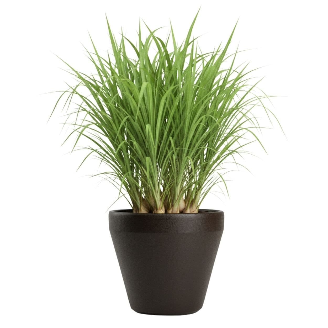Plastový kvetináč Purea 34,9x39,5 cm mokka