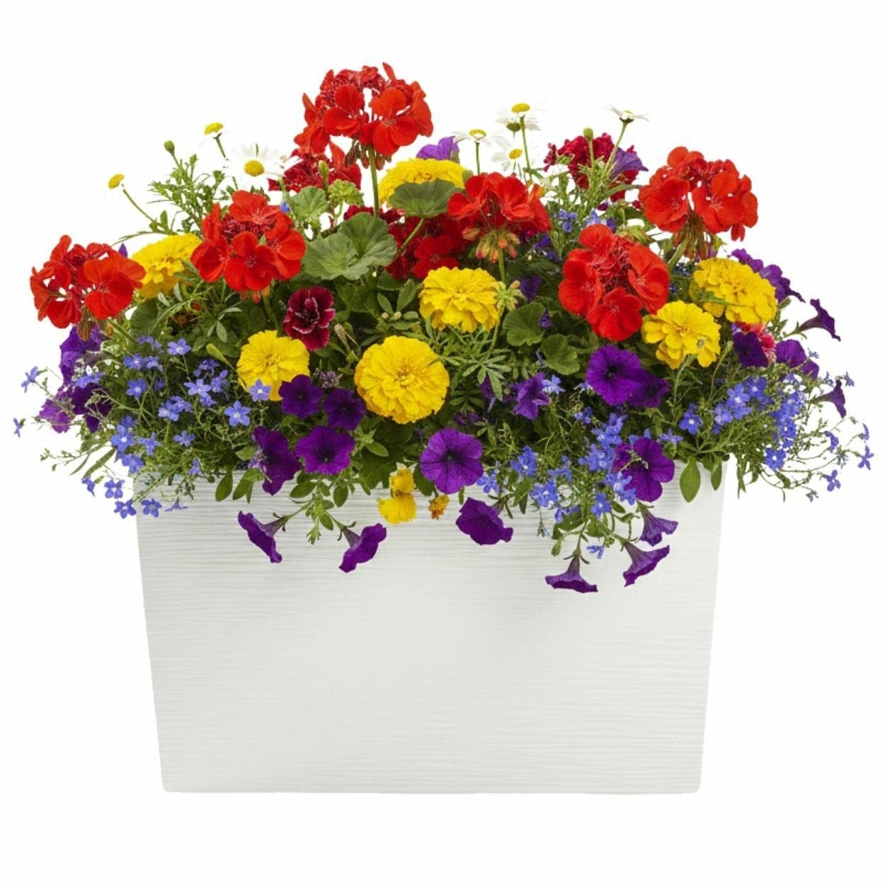 Plastový kvetináč Bloom Riflo 36,2x56,1 cm krémový