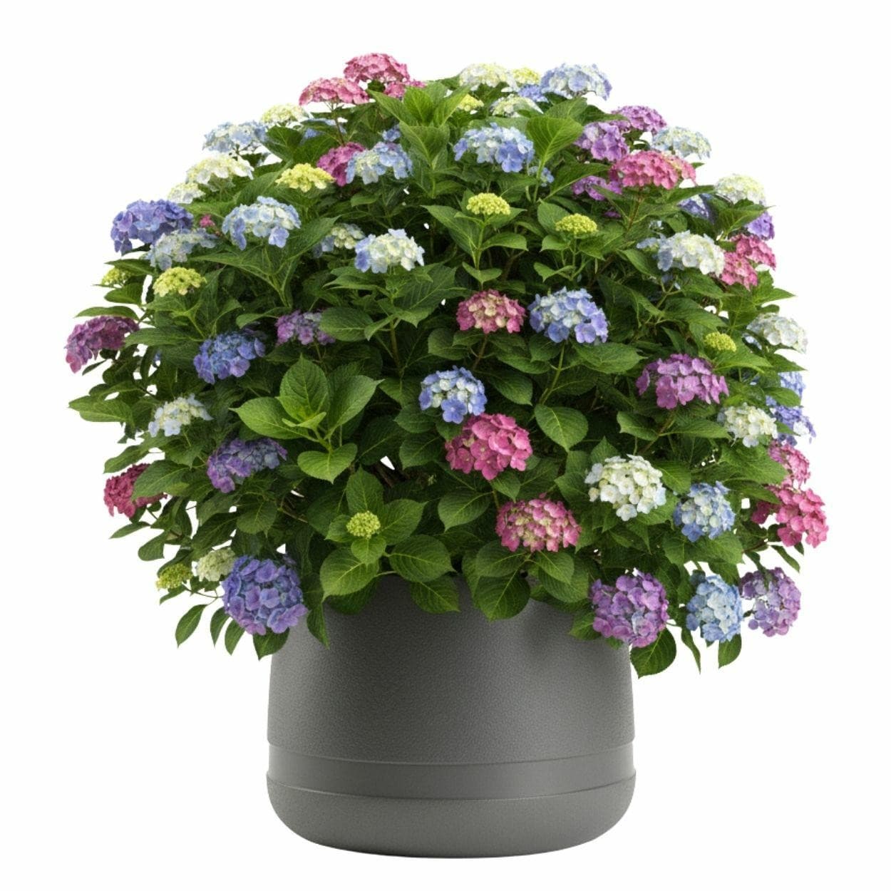 Kvetináč LUNA Vase 42 cm antracitový 1