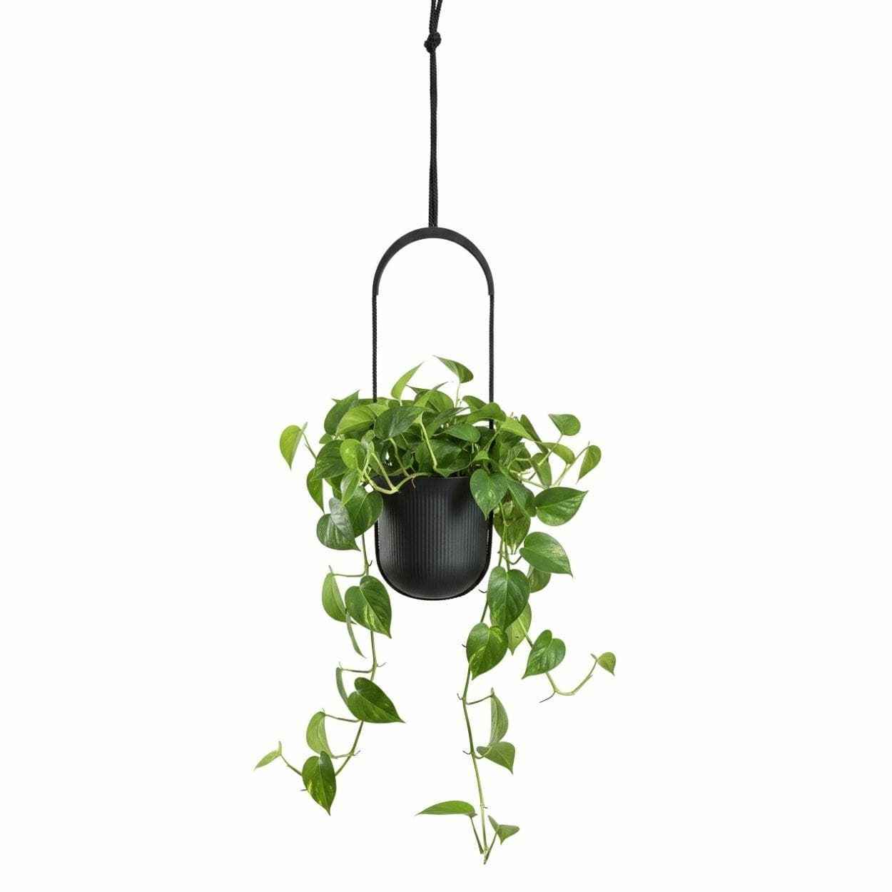 Závesný kvetináč AERA HANG 17,9 cm antracitový 1
