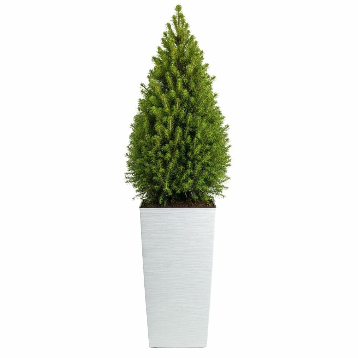 Plastový kvetináč Porto Riflo 75x39,6x39,6 cm biely 1