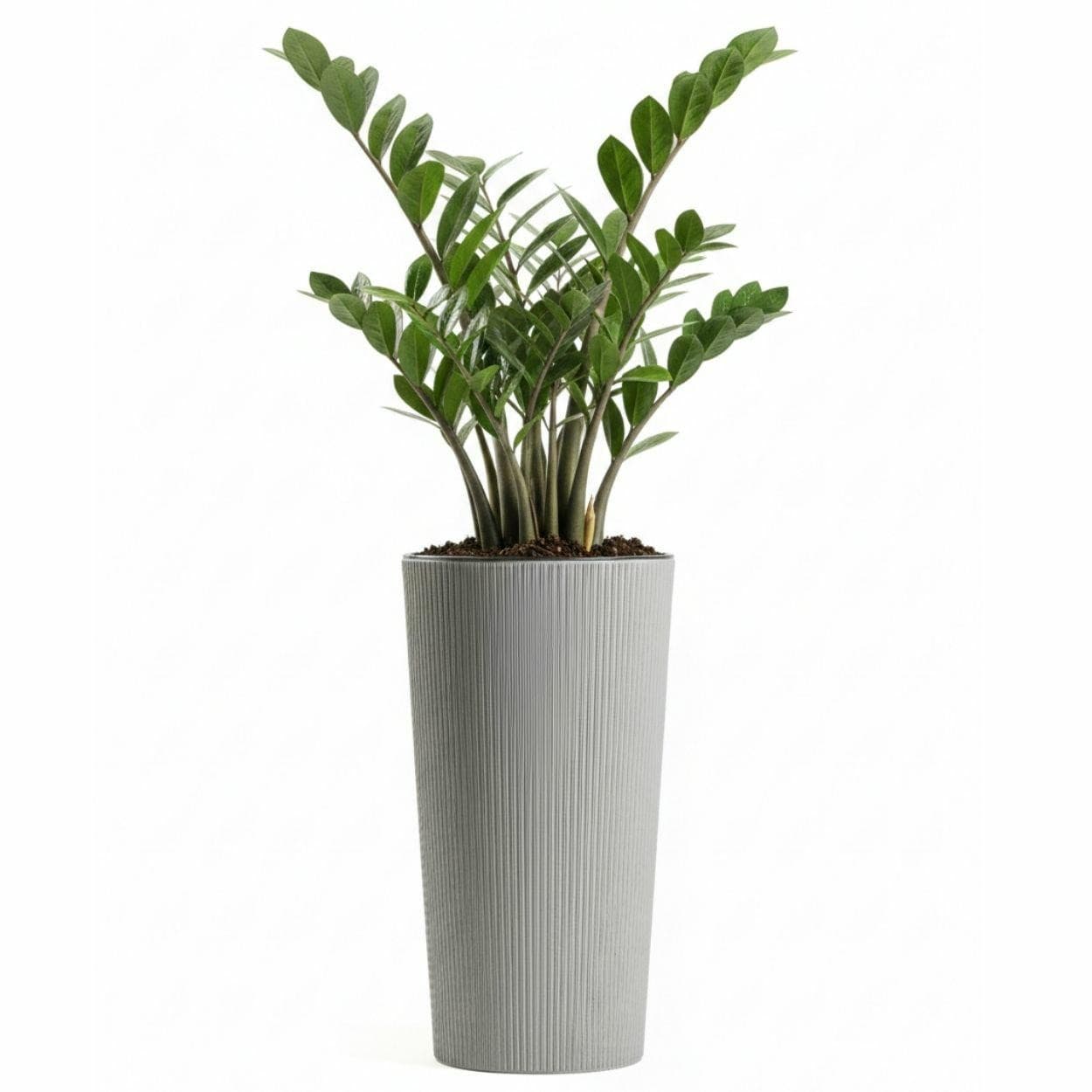 Kvetináč URBANIKA ECO Wood 36,4x19,6 cm sivý