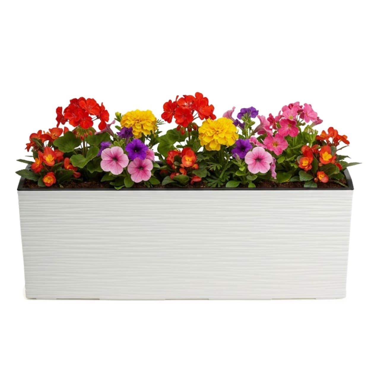 Plastový kvetináč Bouquet Riflo 56x19 cm krémový 1