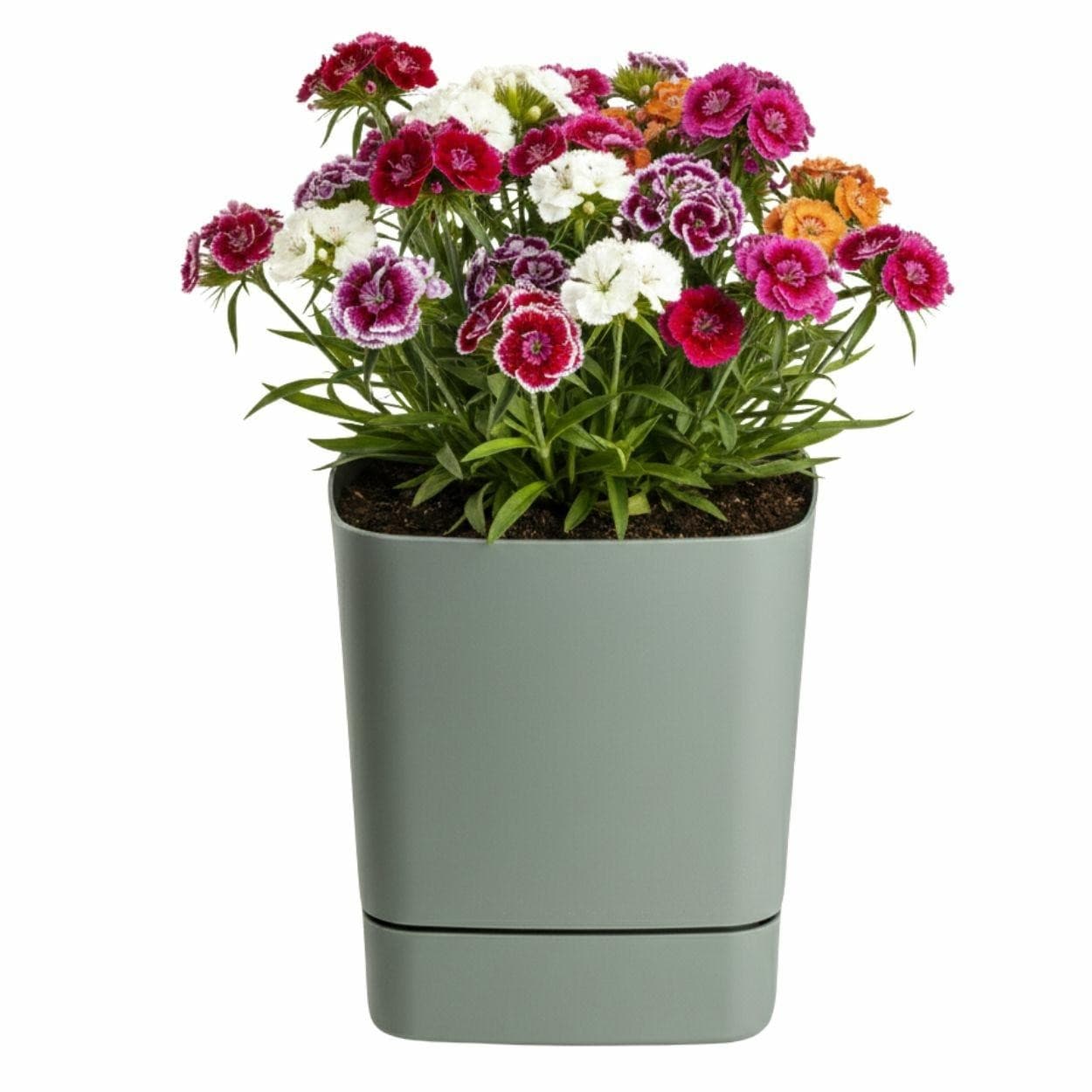 Kvetináč s podmiskou CUBI 30x30 cm sivozelený