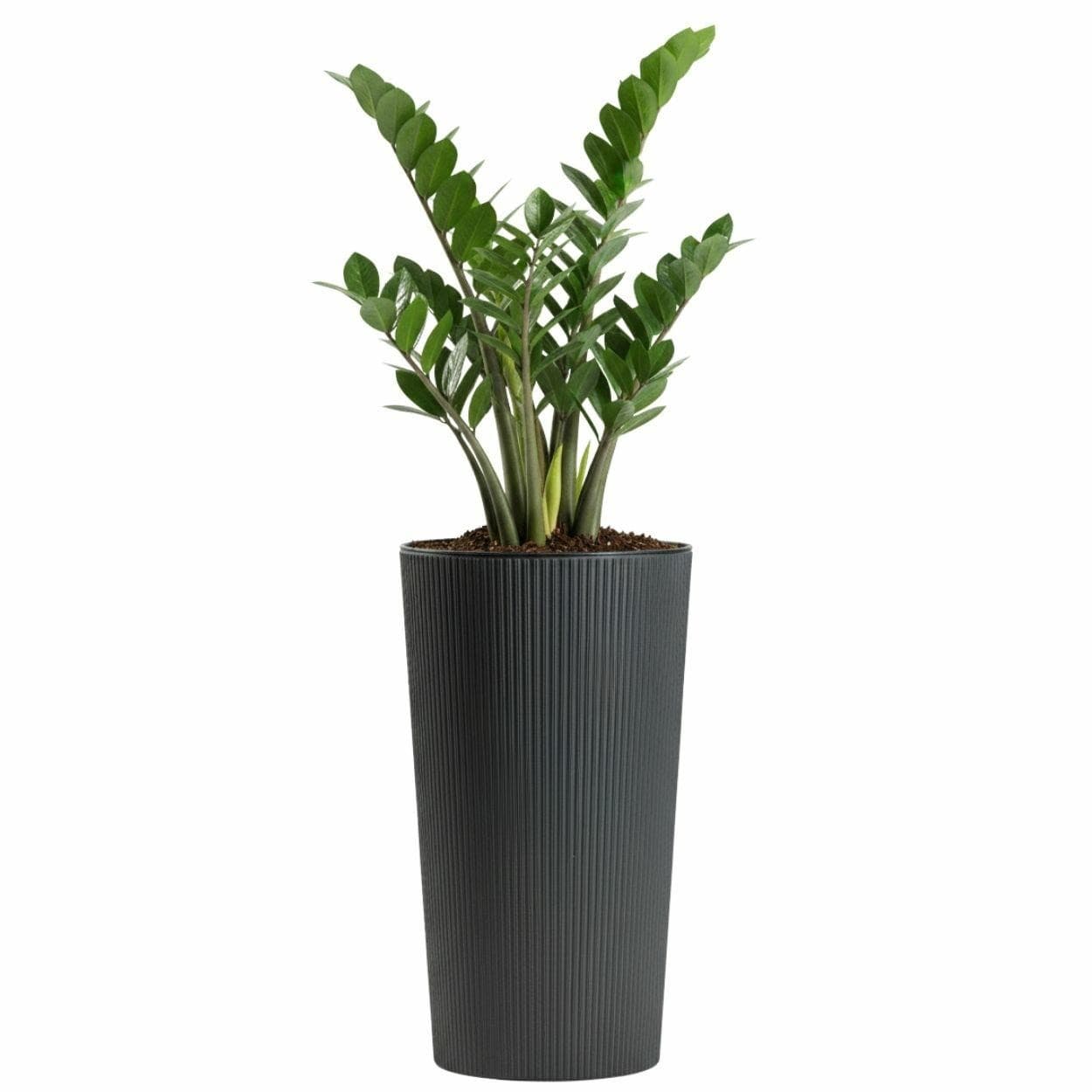 Plastový kvetináč URBANIKA ECO 46,6x25,5 cm antracitový 1