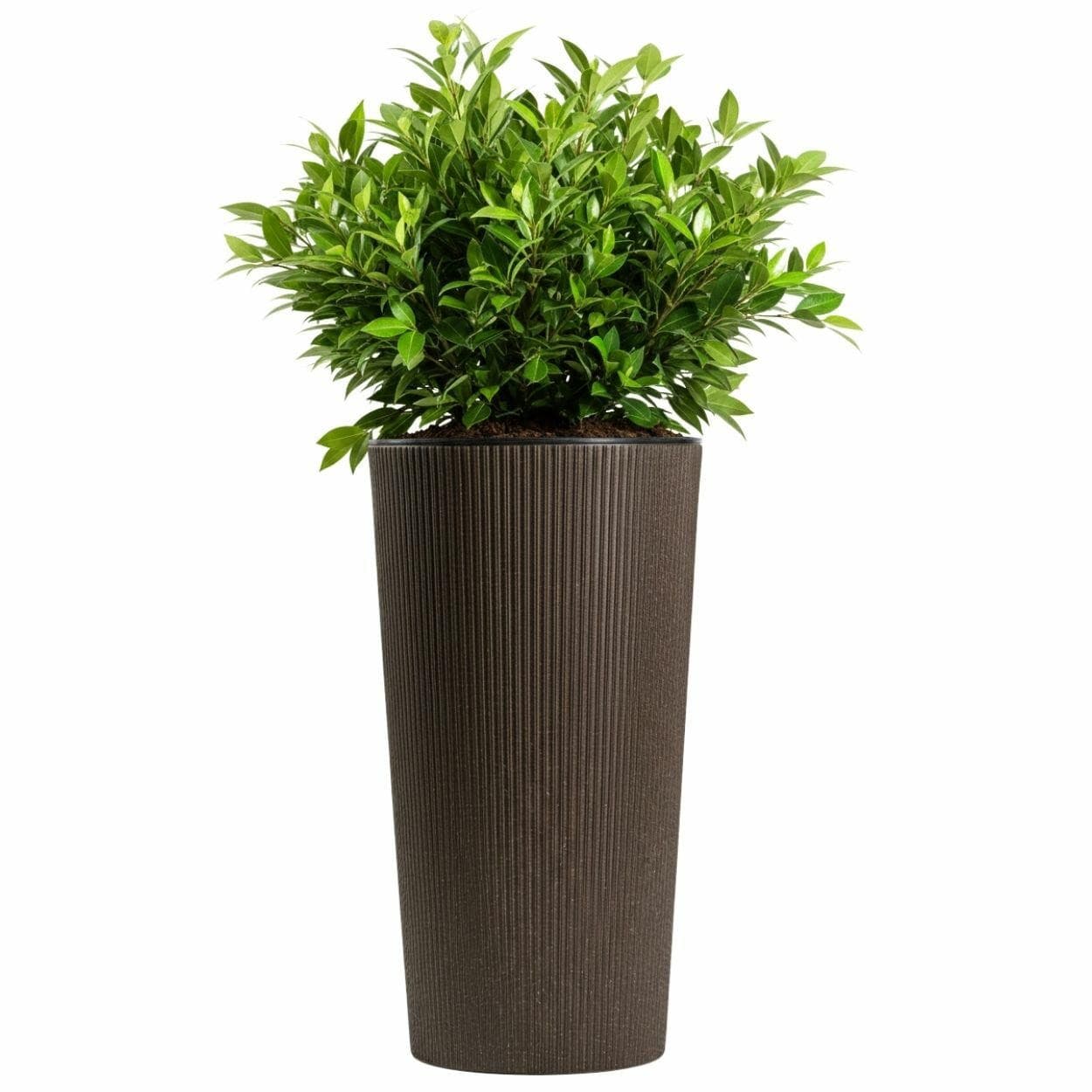Kvetináč URBANIKA Coffee 57,1x29,5 cm hnedý 1