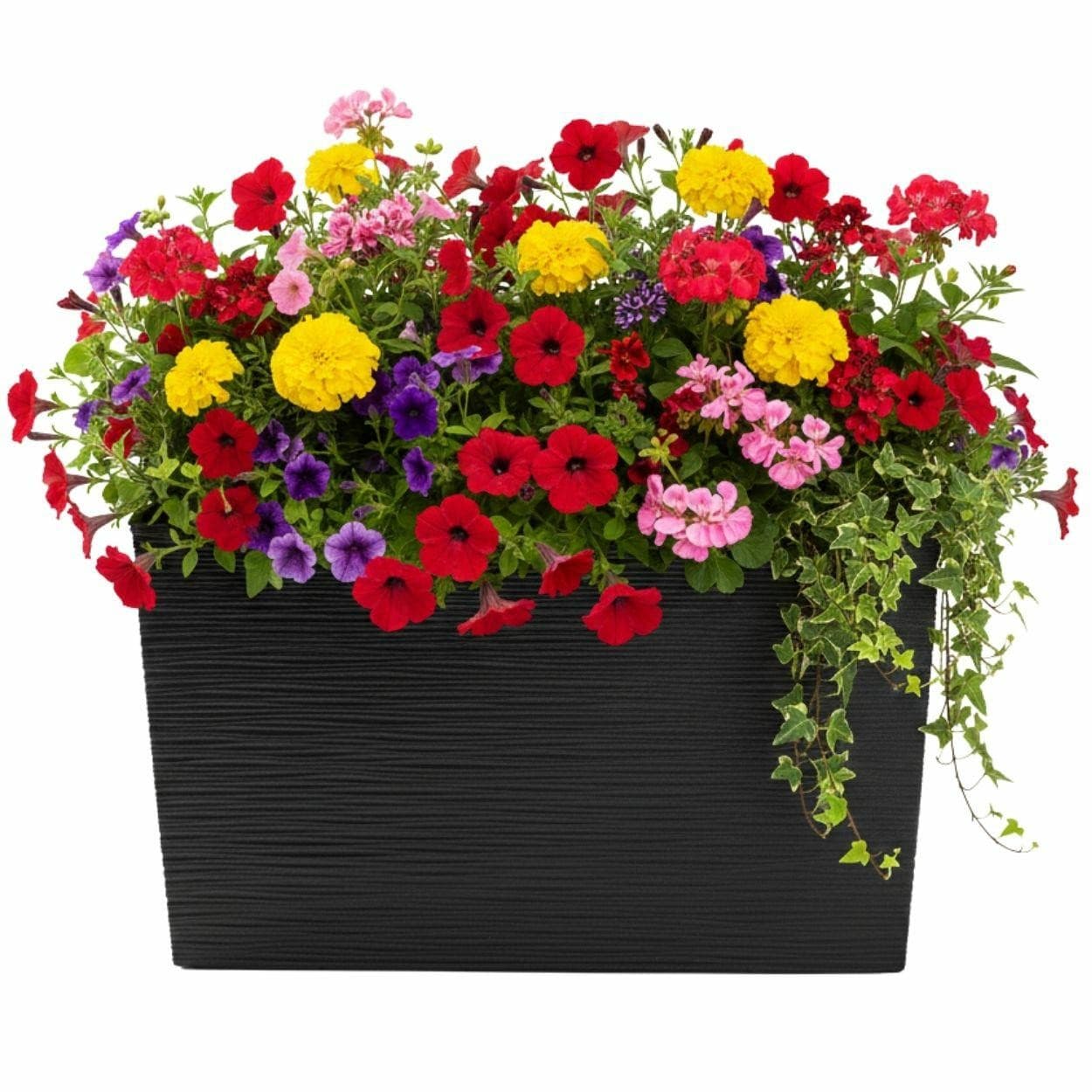 Plastový kvetináč Bloom Riflo 36,2x56,1 cm čierny 1