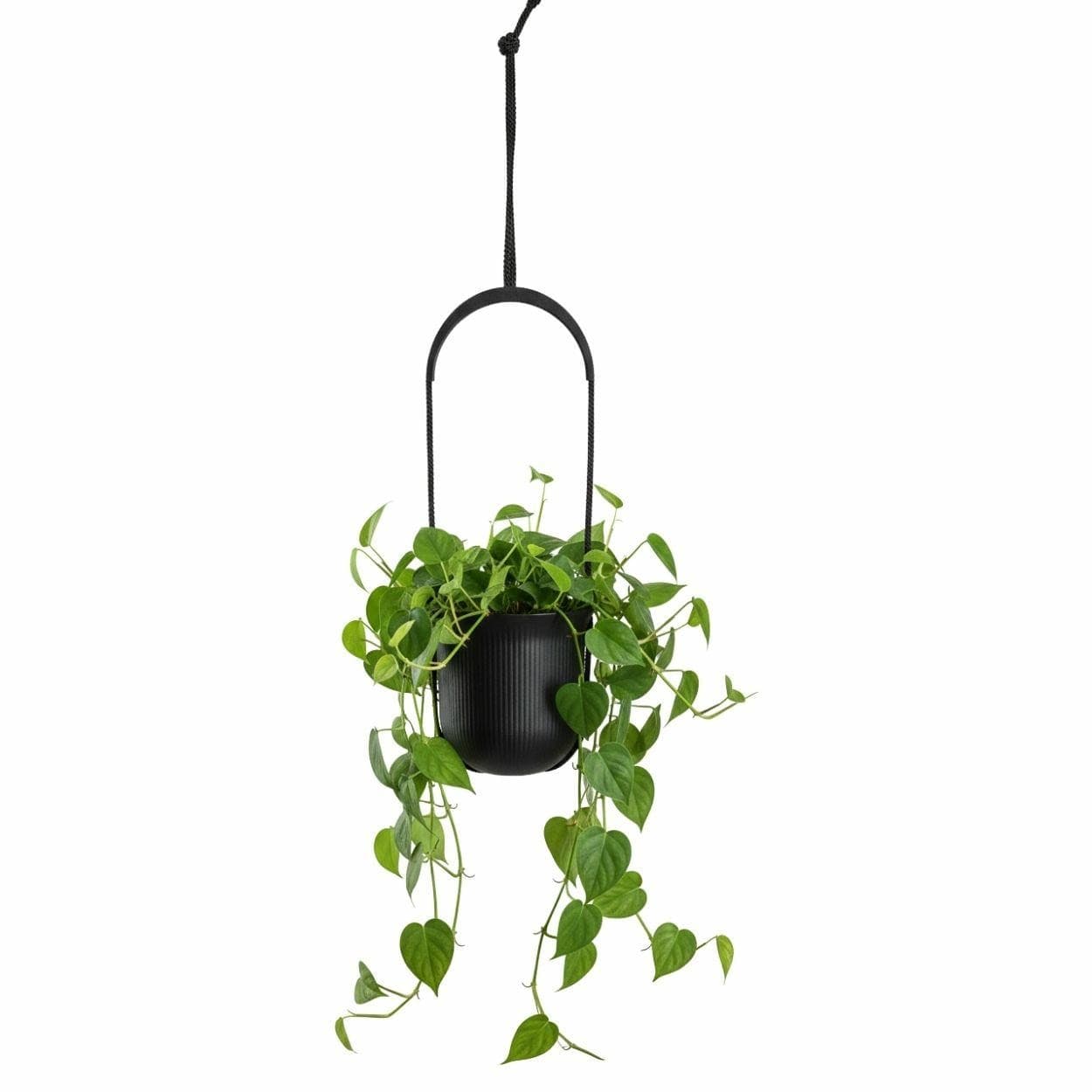 Závesný kvetináč AERA HANG 17,9 cm čierny