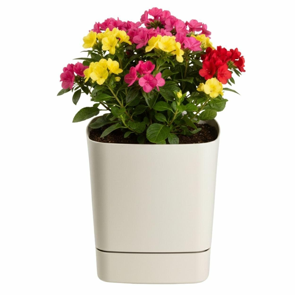 Plastový kvetináč s podmiskou Cubi 19x19 cm - výber z 6 prevedení