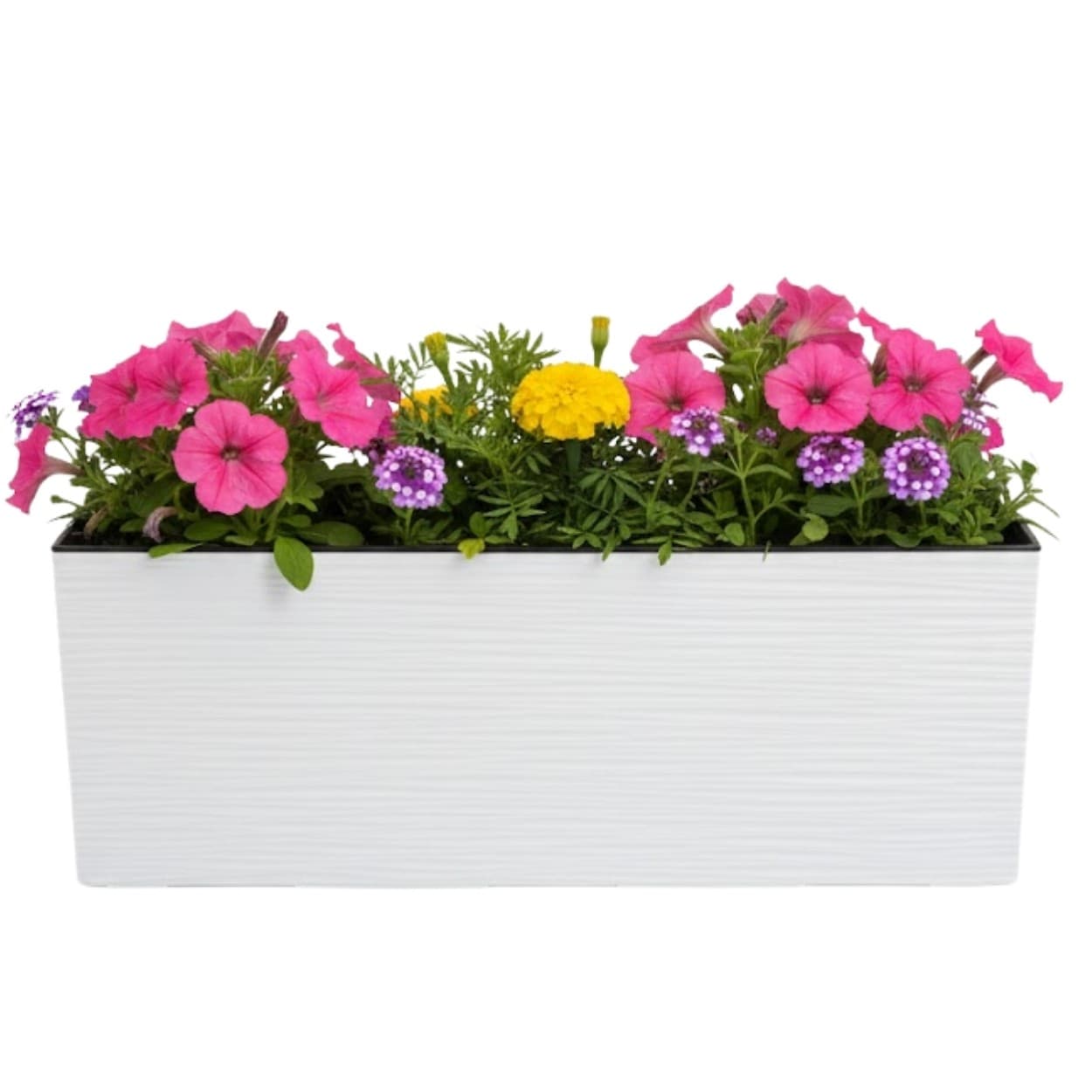 Plastový kvetináč Bouquet Riflo 56x19 cm biely 1