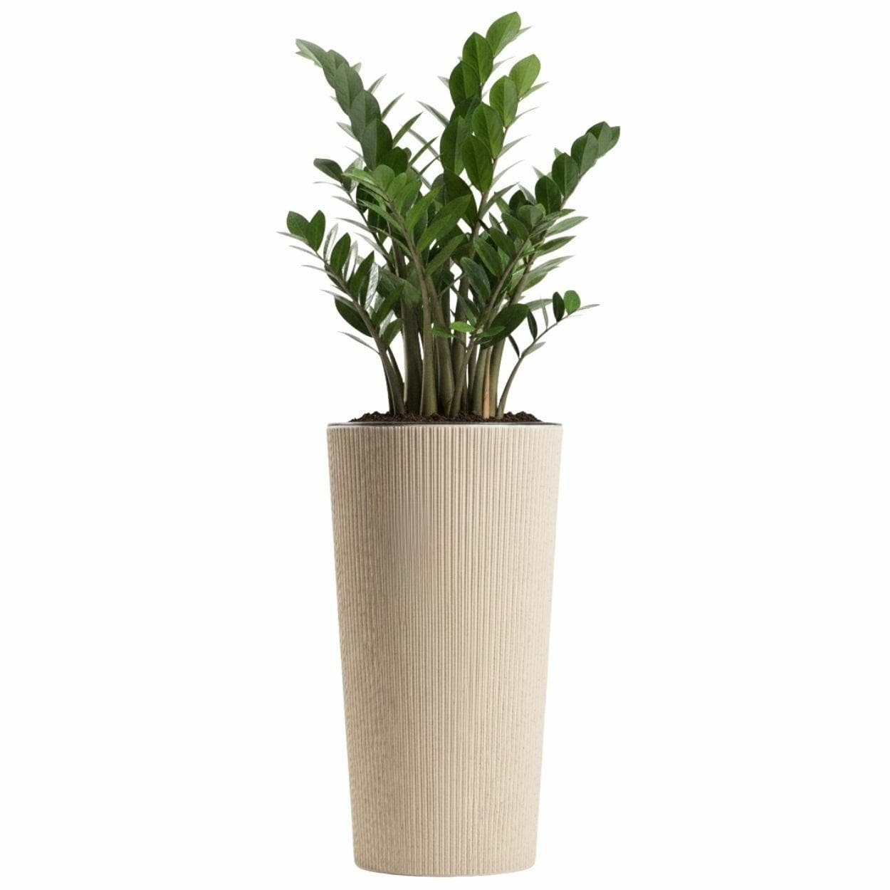 Kvetináč URBANIKA Coffee 36,4x19,6 cm béžový