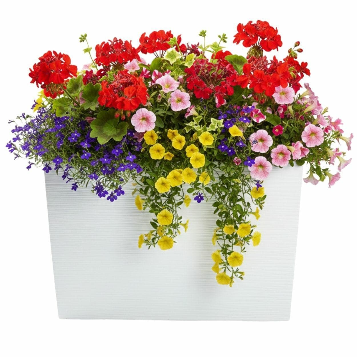 Plastový kvetináč Bloom Riflo 36,2x56,1 cm biely