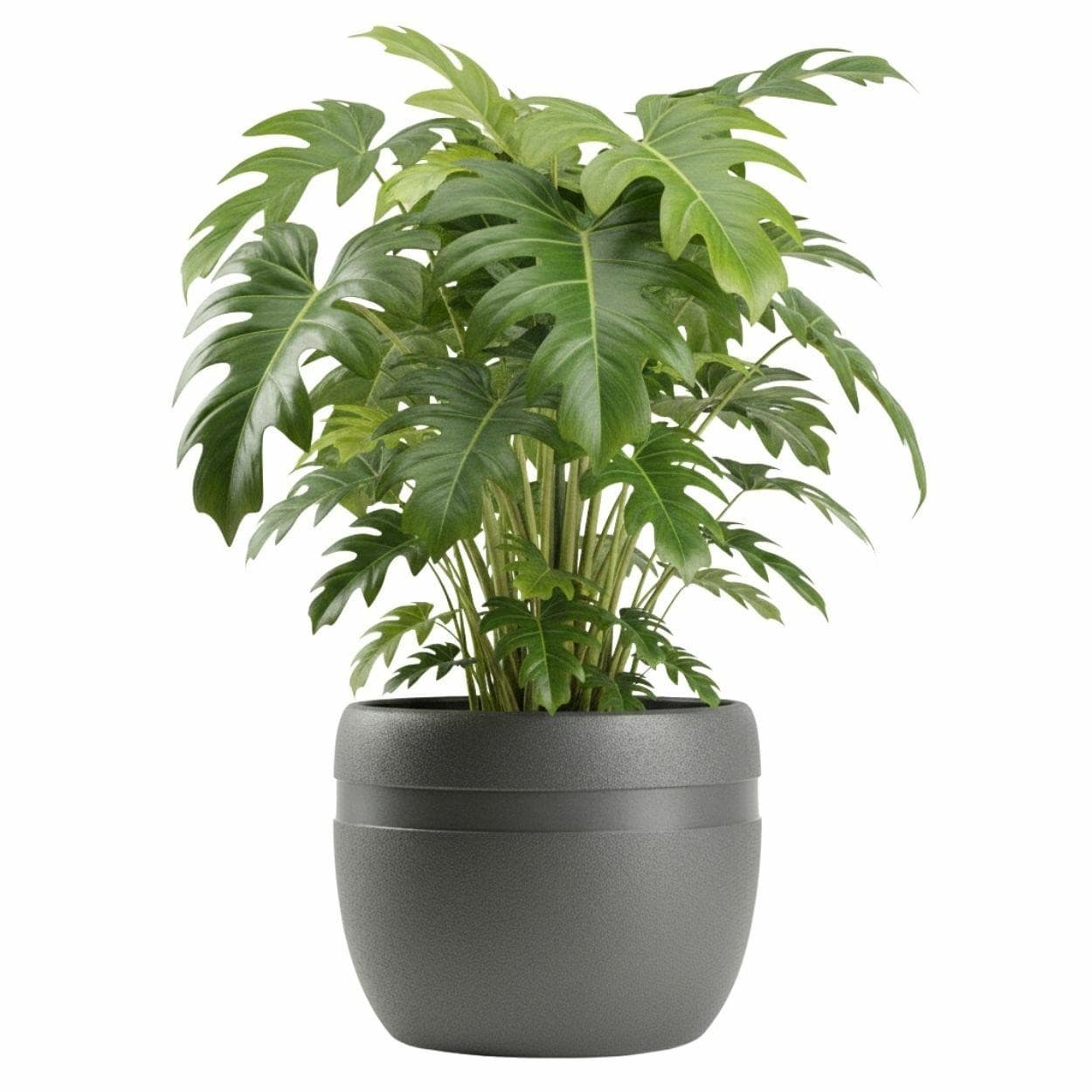 Kvetináč LUNA Classic 40 cm antracitový